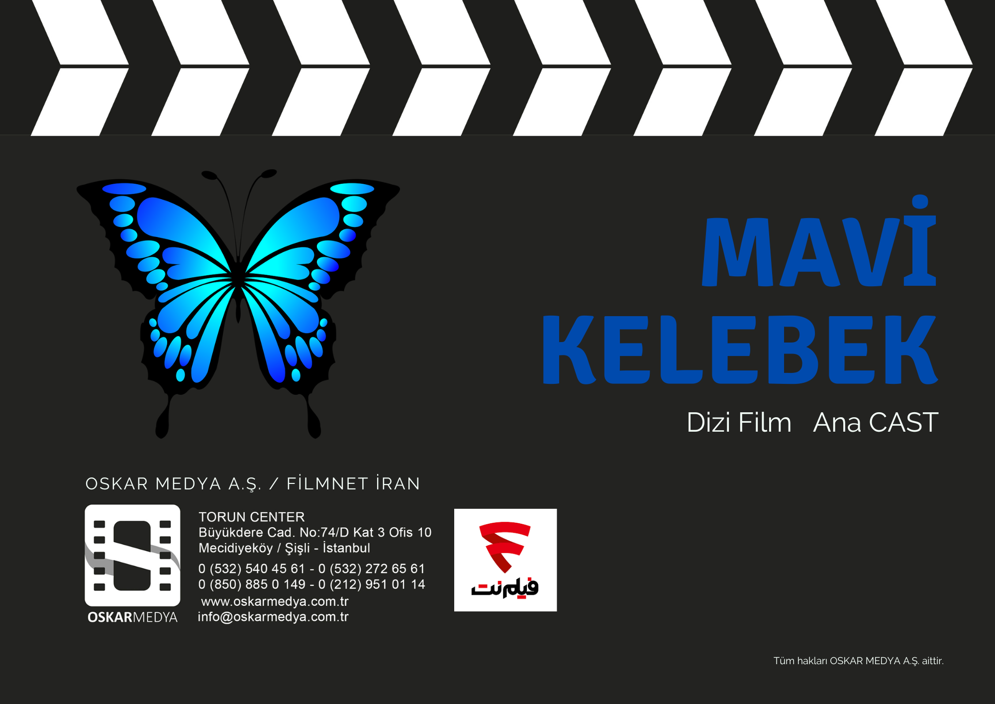 MAVİ KELEBEK